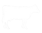 vache-ombreWHT